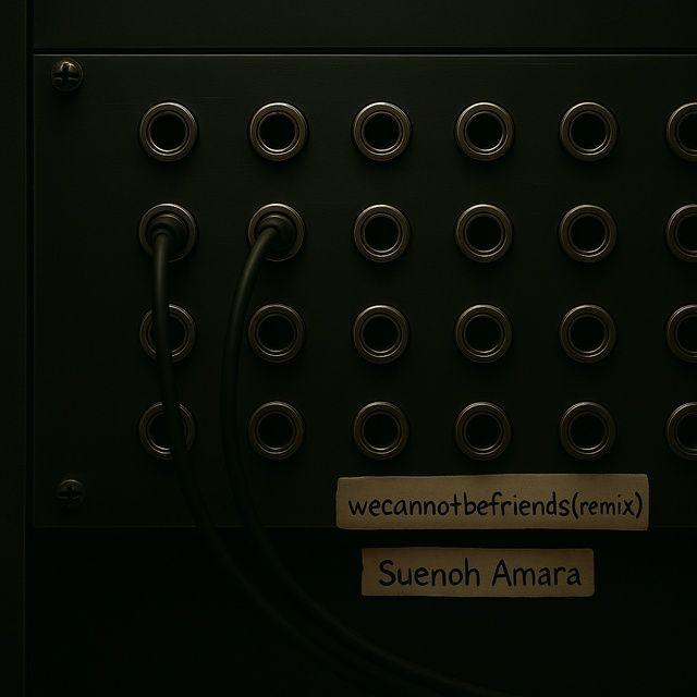 WECANNOTBEFRIENDS (REMIX) single cover artwork